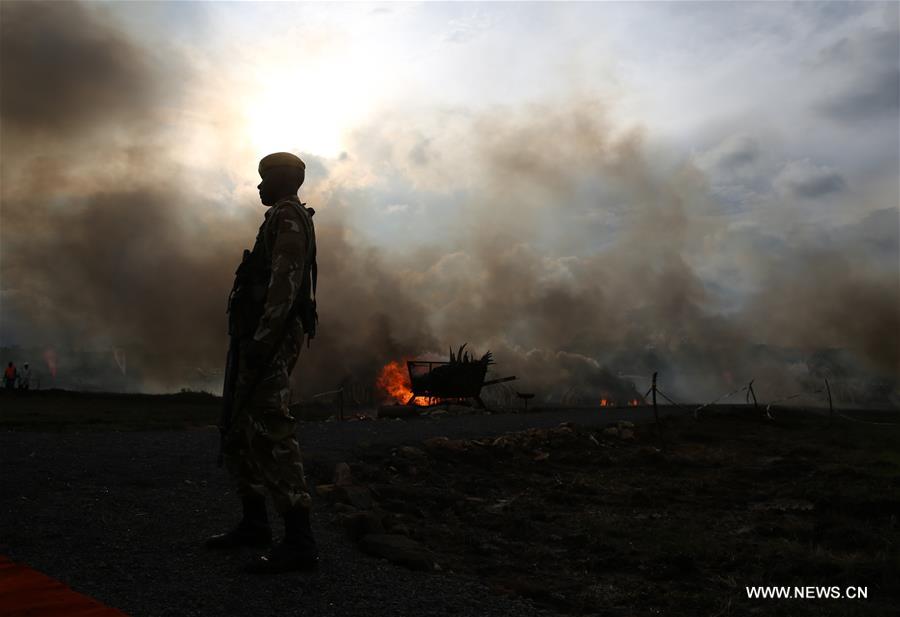 Tons of ivory, rhino horn torched in Kenya