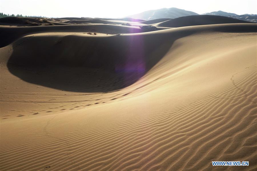 In pics: Kum Tag Desert in Shanshan County, NW China