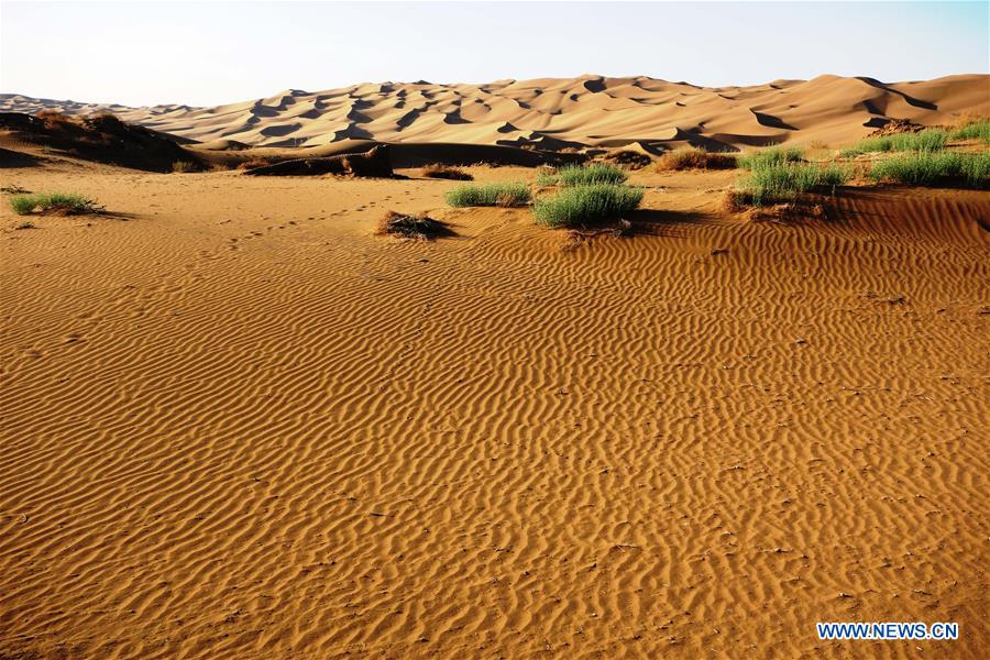 In pics: Kum Tag Desert in Shanshan County, NW China