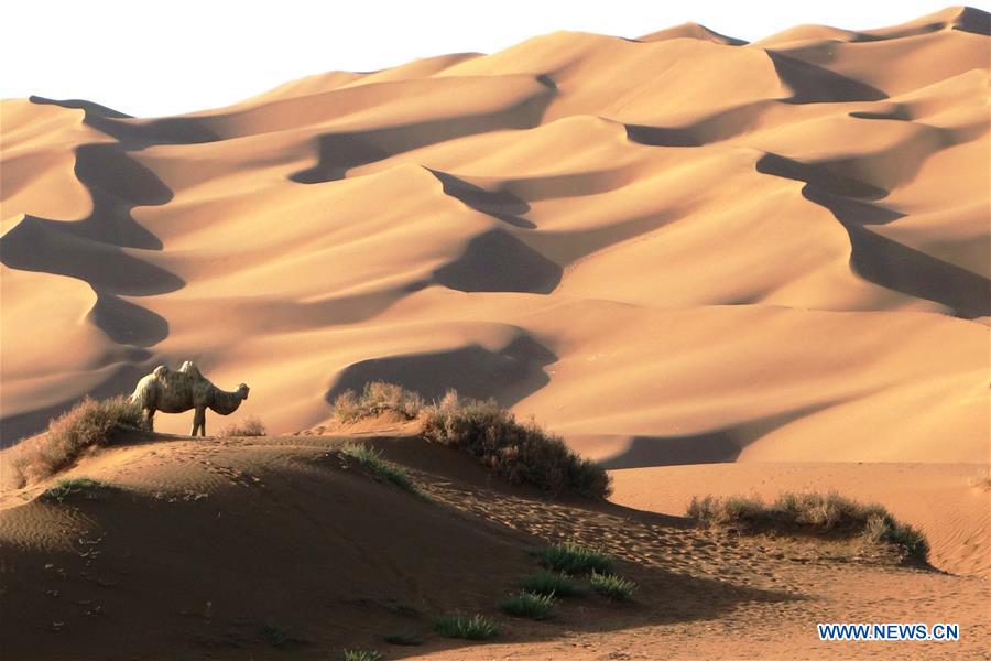 In pics: Kum Tag Desert in Shanshan County, NW China