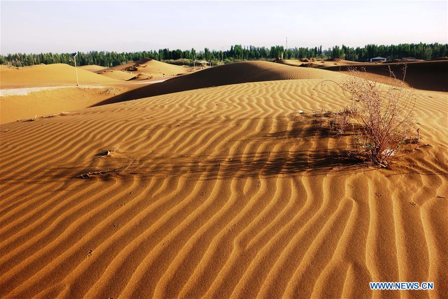 In pics: Kum Tag Desert in Shanshan County, NW China