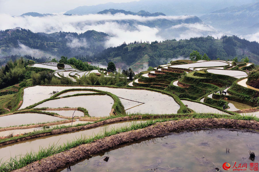 Intoxicating Yueliangshan terrace