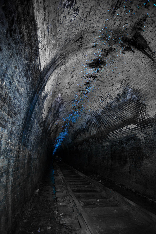 130-year-old tunnels in Australia being lightened by Glow Worms