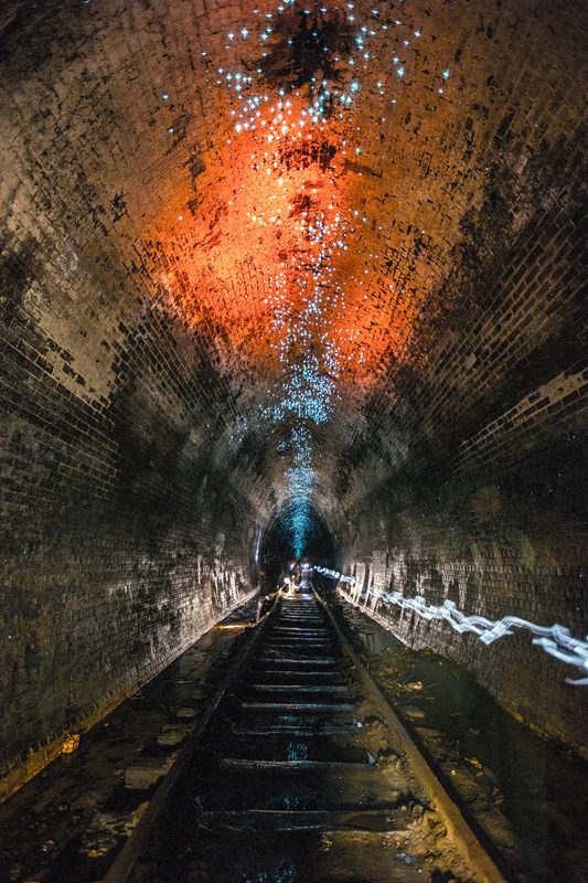 130-year-old tunnels in Australia being lightened by Glow Worms