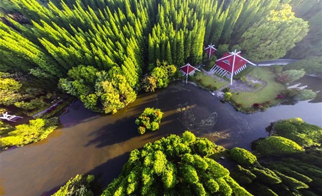 Scenery of Dongping National Forest Park in Shanghai
