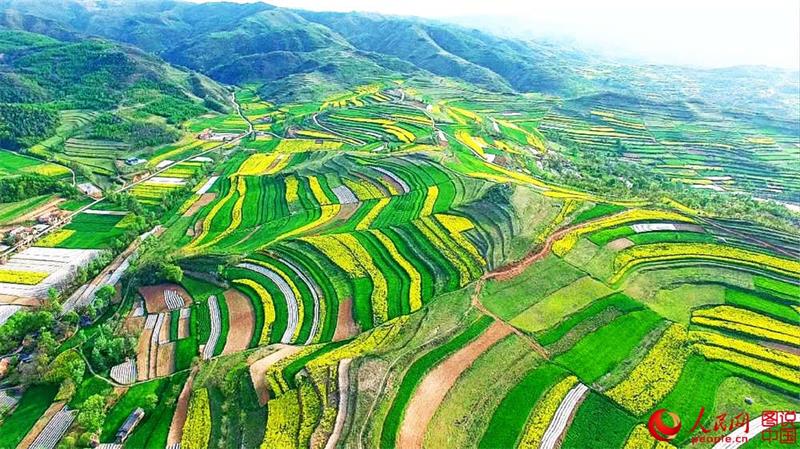 Aerial view of terraced fields in Gansu province