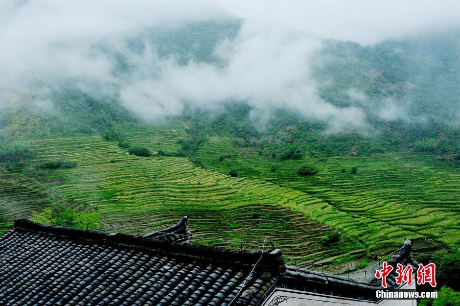 Fantastic view: China’s most beautiful villages in Wuyuan