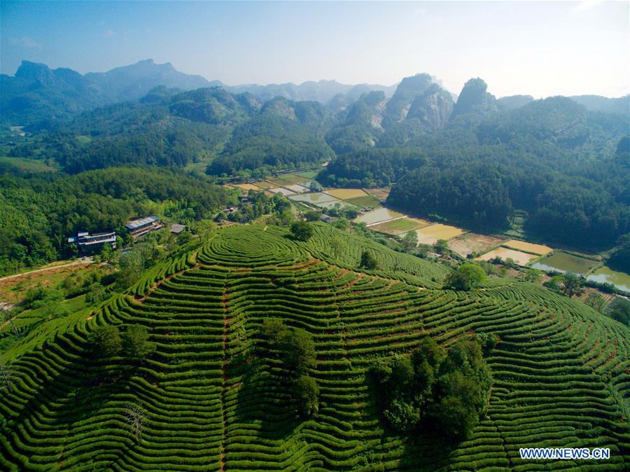 Fantastic Scenery Of Mount Wuyi In Southeast China People S Daily Online