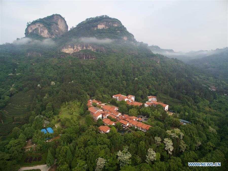 Fantastic scenery of Mount Wuyi in southeast China