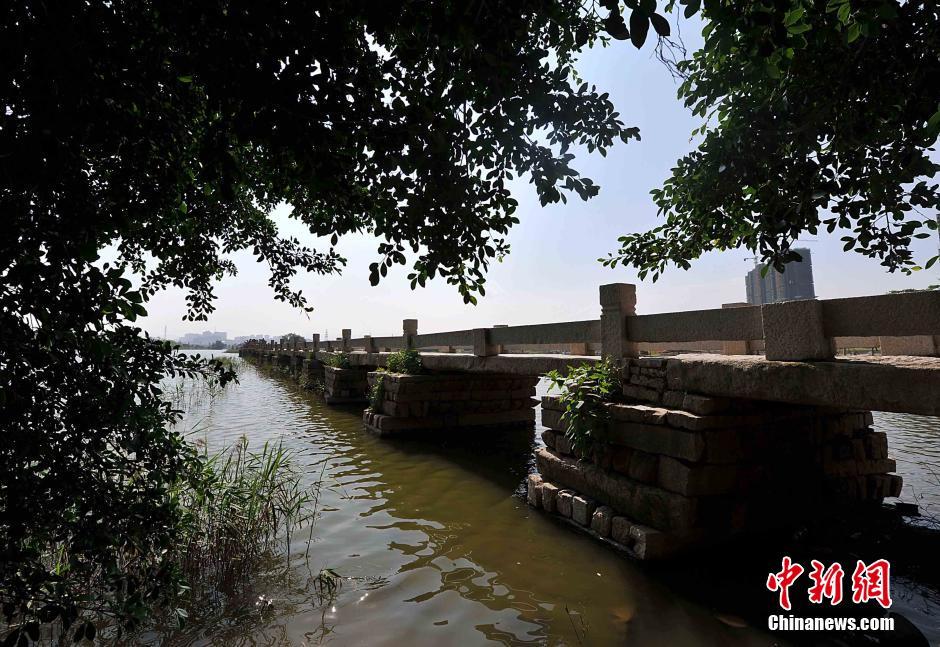 World's longest cross-sea stone beam bridge in SE China