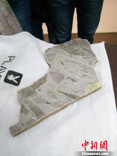 Evidence of oldest multicellular organism found in China