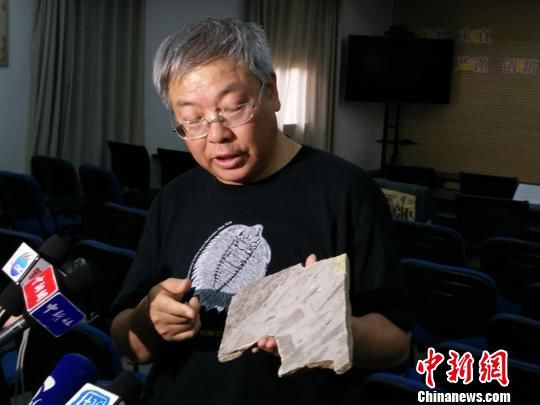 Evidence of oldest multicellular organism found in China