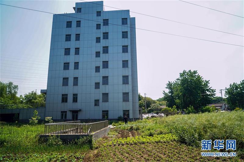 Abandoned Government Building Found Planted with Vegetables in Yard