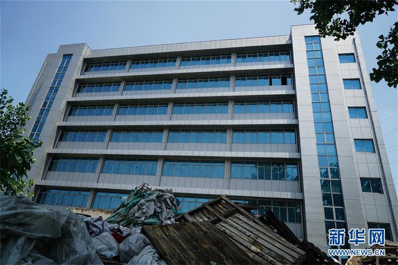 Abandoned Government Building Found Planted with Vegetables in Yard