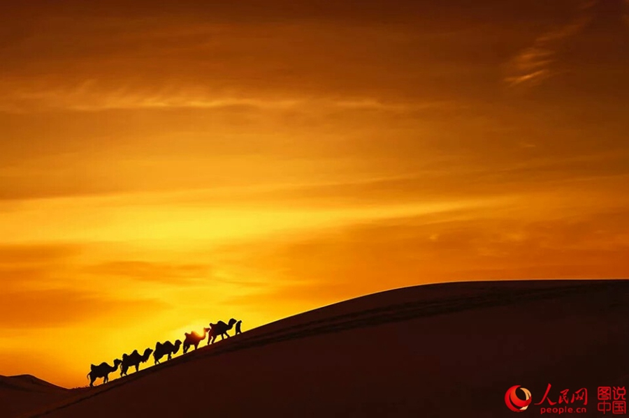 Serene desert view in Inner Mongolia