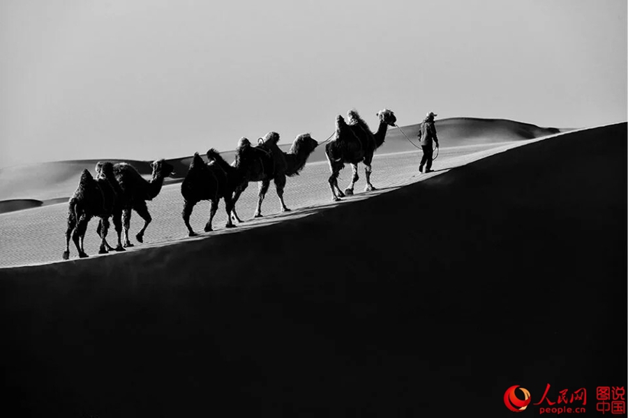 Serene desert view in Inner Mongolia