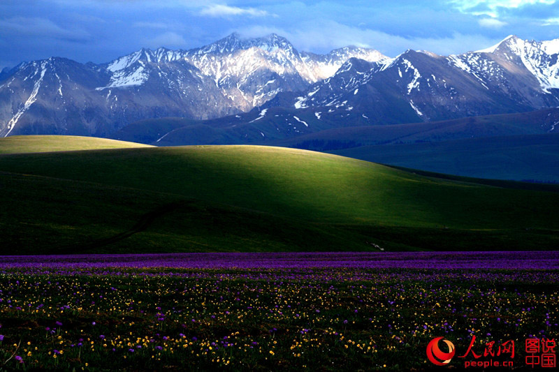 Intoxicating scenery of prairie in Xinjiang