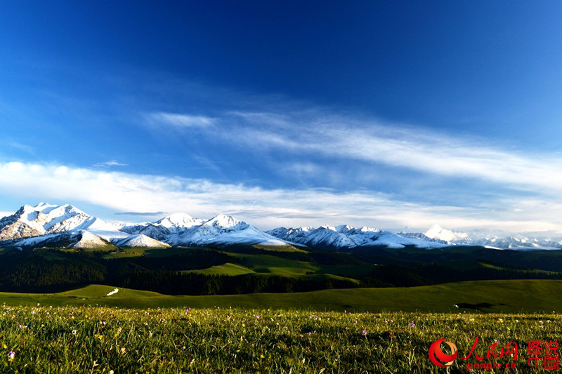 Intoxicating scenery of prairie in Xinjiang