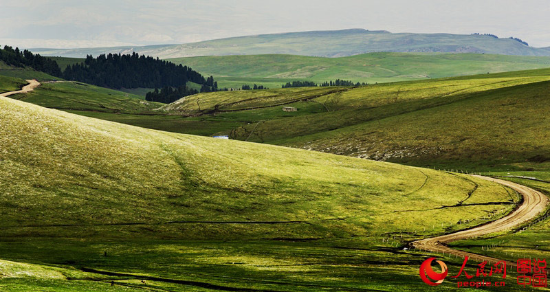 Intoxicating scenery of prairie in Xinjiang