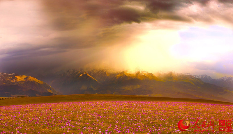Intoxicating scenery of prairie in Xinjiang