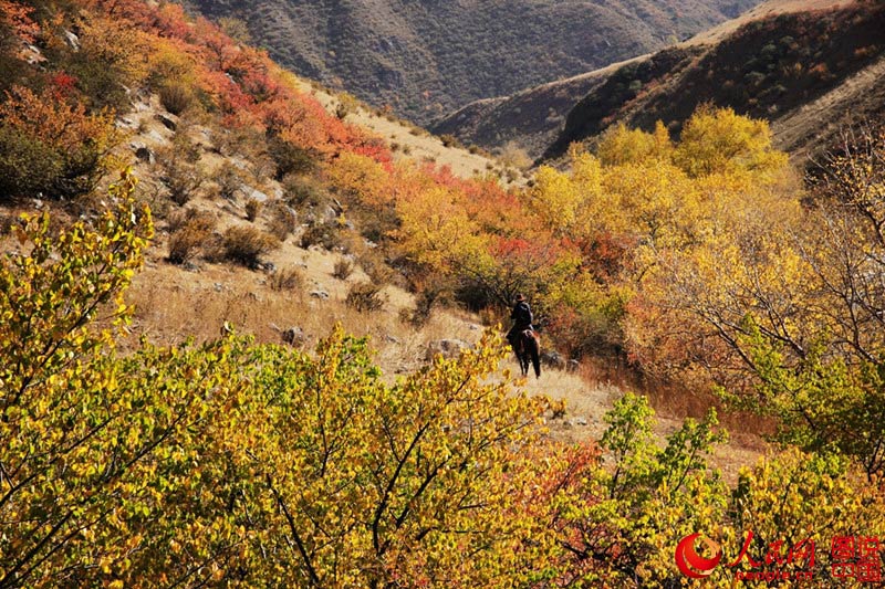 Intoxicating scenery of prairie in Xinjiang