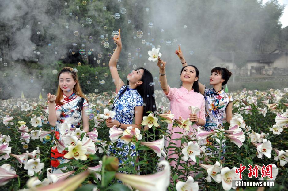 Beauties in cheongsam shining with lilies