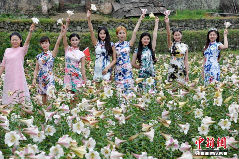 Beauties in cheongsam shining with lilies