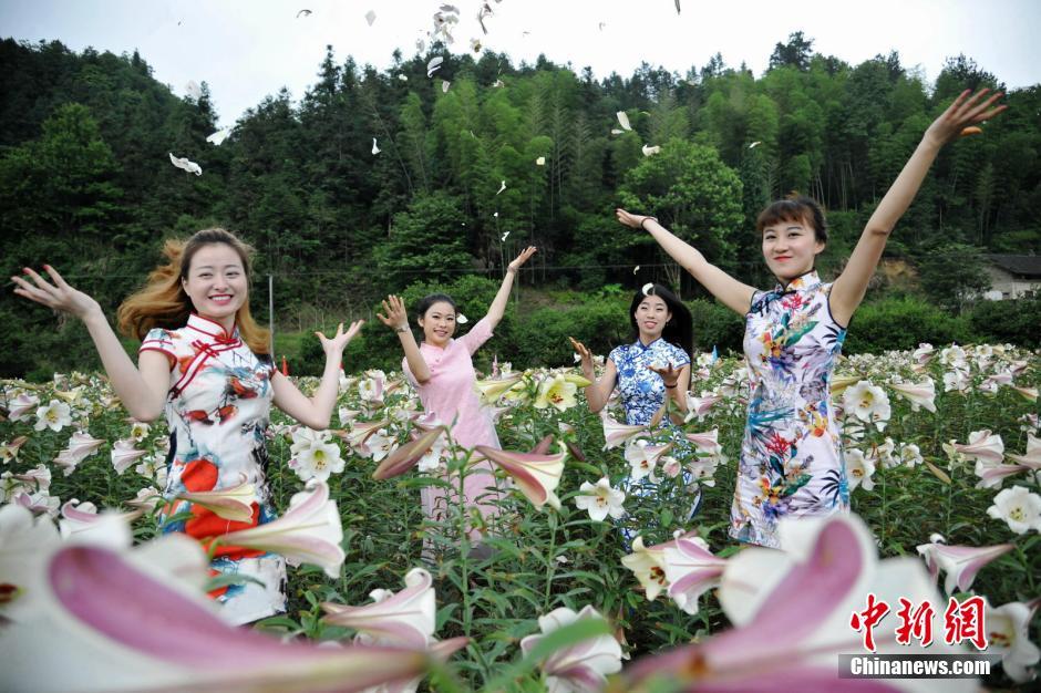 Beauties in cheongsam shining with lilies