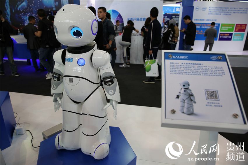 Robots at Guiyang Intl Big Data Expo 2016