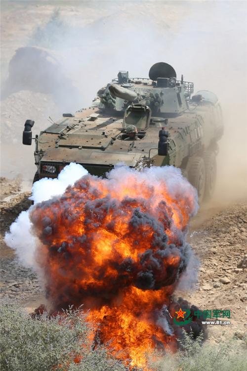 Soldiers driving eight-wheeled infantry fighting vehicles in combat training