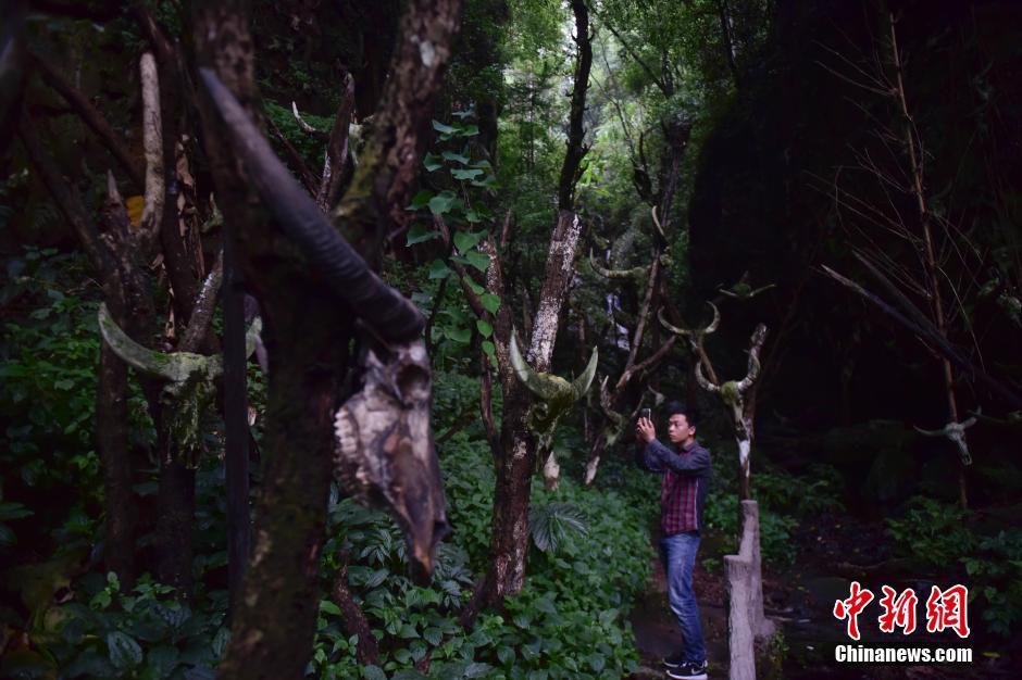 A glimpse of Longmoye Holy in SW China's Yunnan