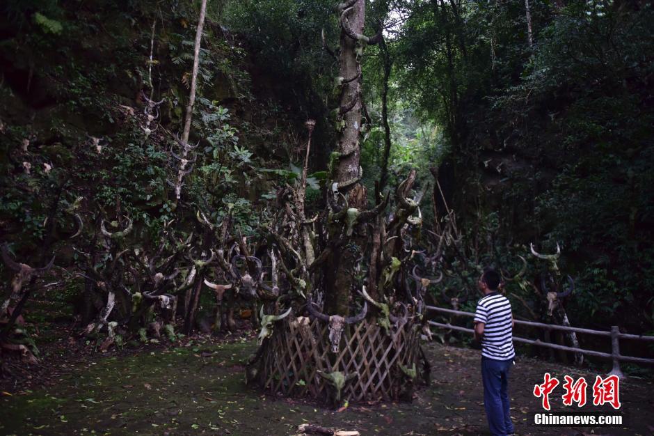 A glimpse of Longmoye Holy in SW China's Yunnan