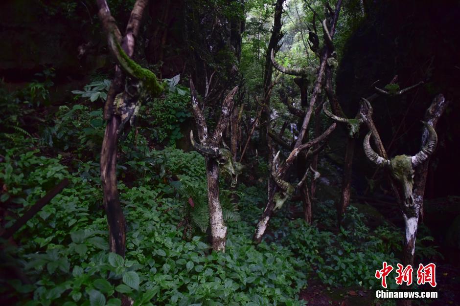 A glimpse of Longmoye Holy in SW China's Yunnan