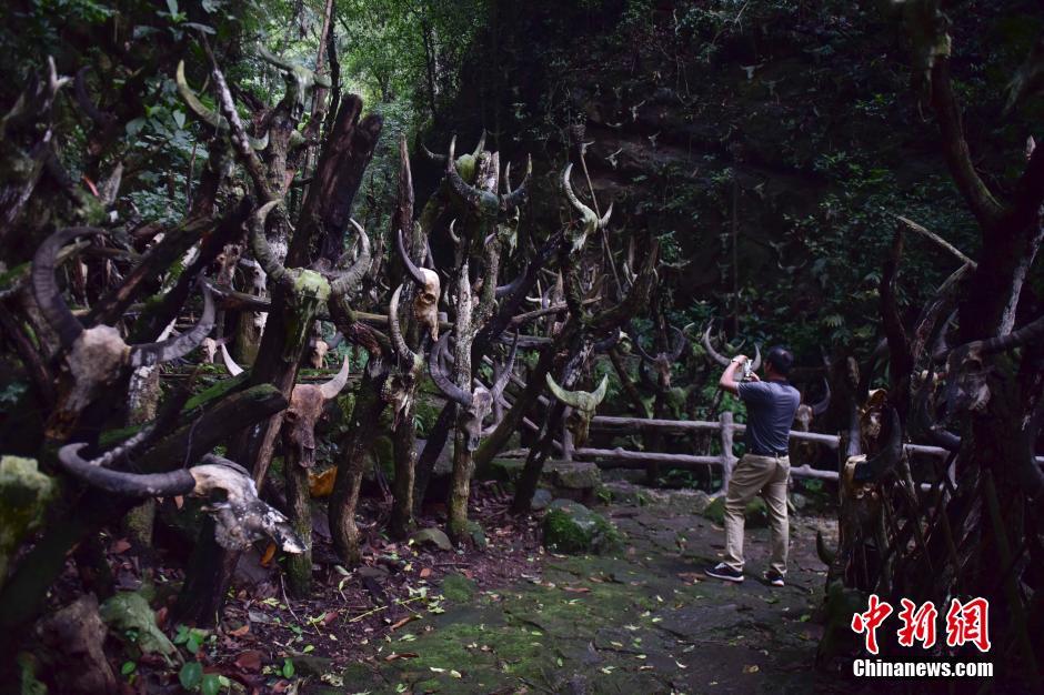 A glimpse of Longmoye Holy in SW China's Yunnan