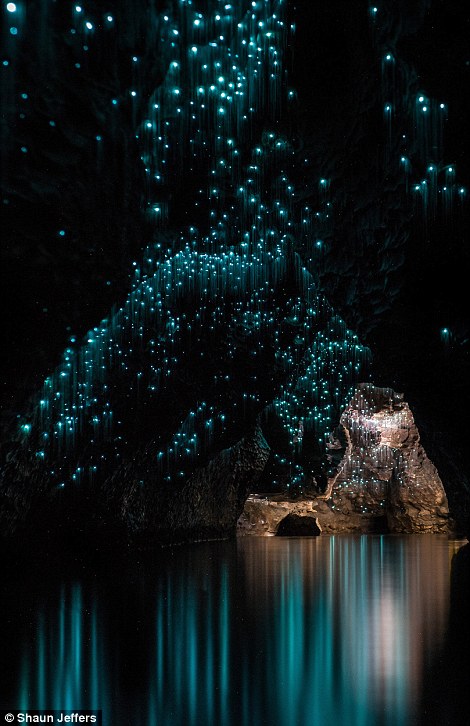 The light fantastic: Spellbinding images show glow worms illuminating a pitch black New Zealand grotto in streaks of turquoise