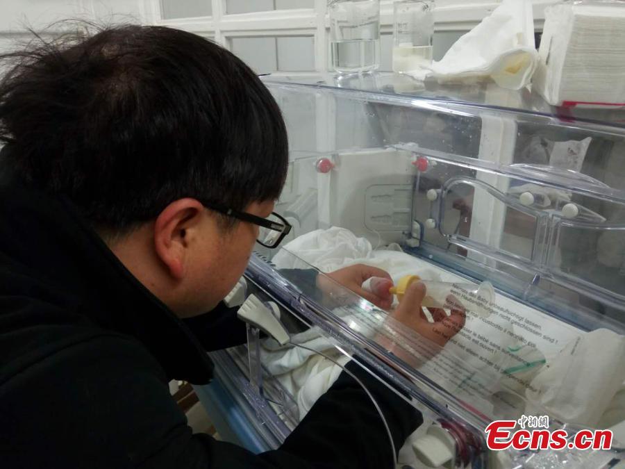 Chinese panda Hao Hao in Belgium gives birth to baby