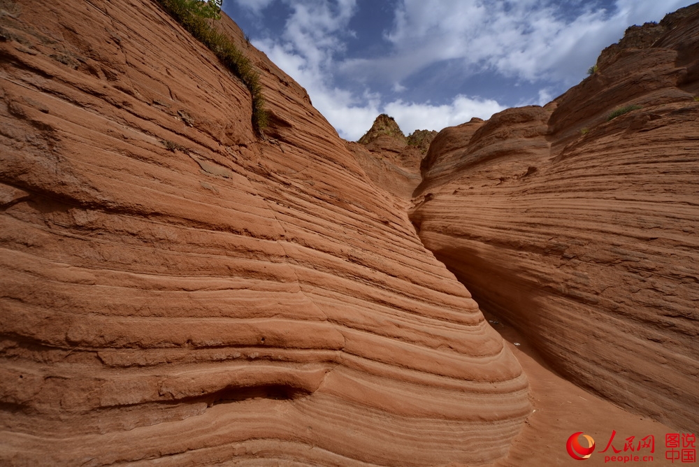 Visually surreal: Jingbian wave valley in NW China