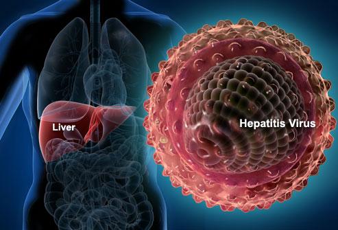 Chinese scientists discover new anti-HBV gene