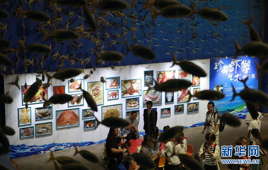 Special Exhibition to Celebrate World Ocean Day