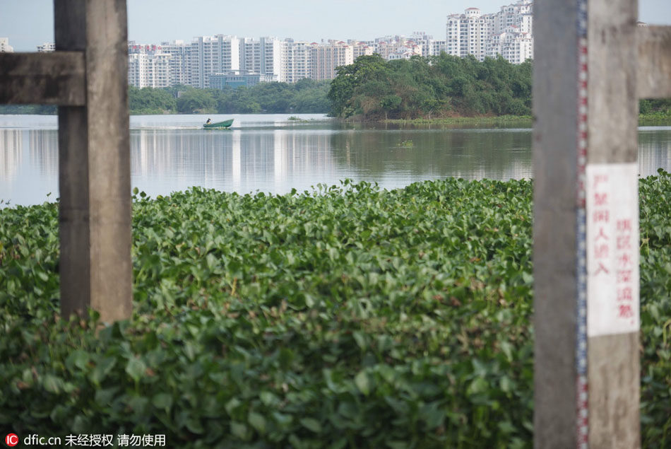 Hydropower station on ‘grassland’