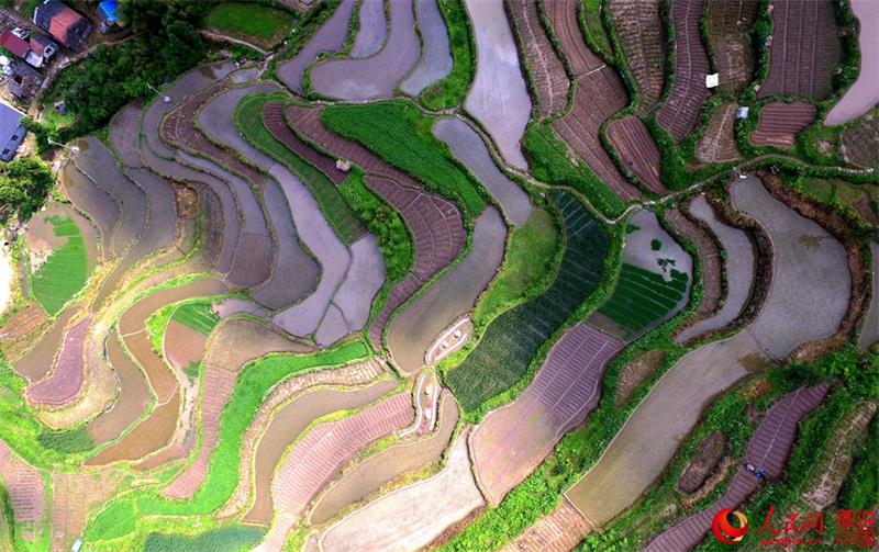 Terraced fields in Zhejiang