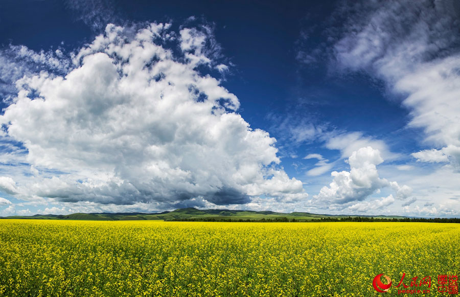 Splendid scenery of Hulunbuir Grasslands