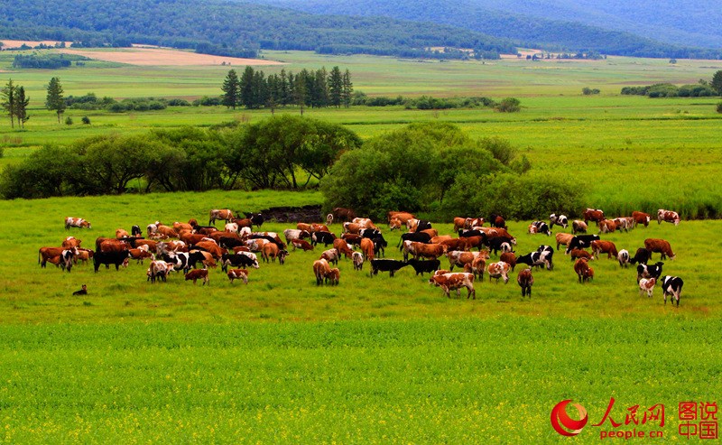 Picturesque scenery in Arun Banner