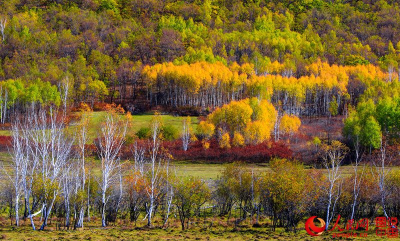 Picturesque scenery in Arun Banner