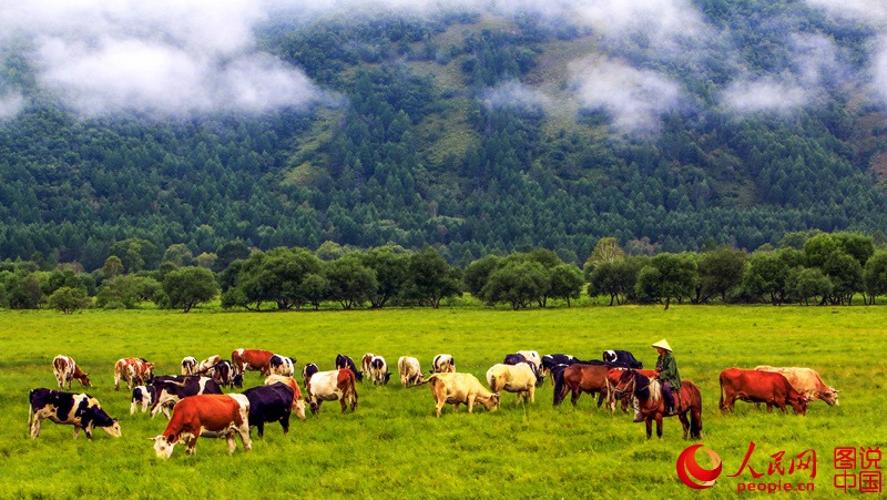 Picturesque scenery in Arun Banner