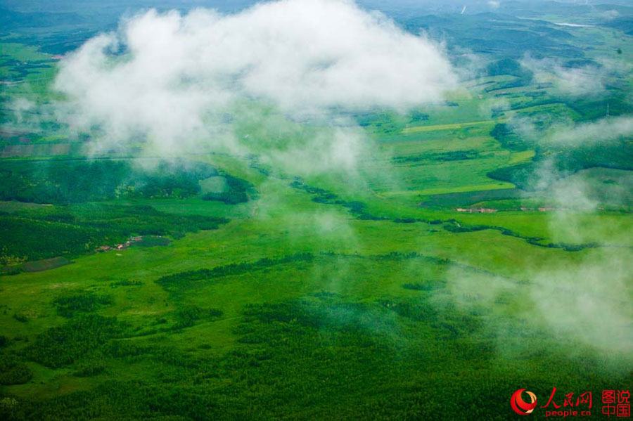 Aerial view of Great Khingan Mountains in early summer