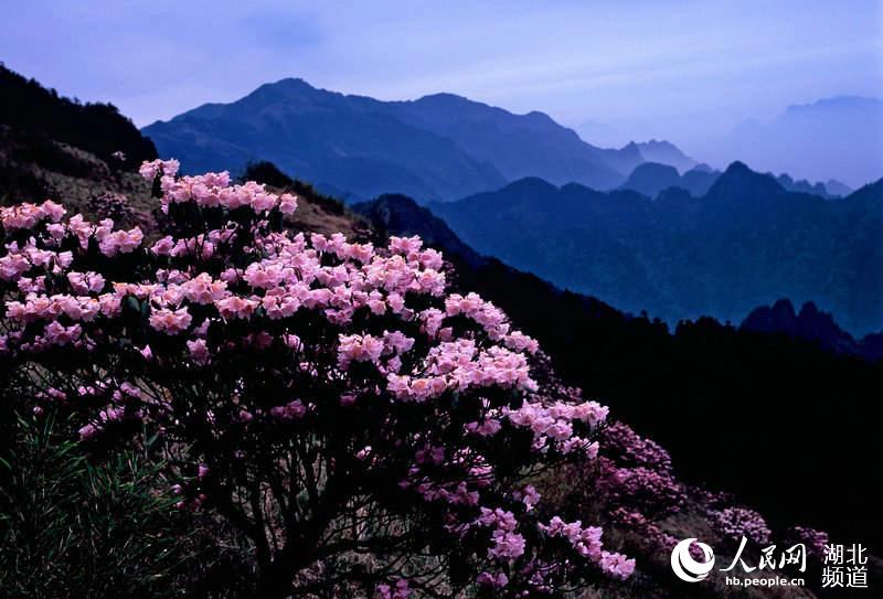 Shennongjia becomes pilot national park, applies for World Natural Heritage