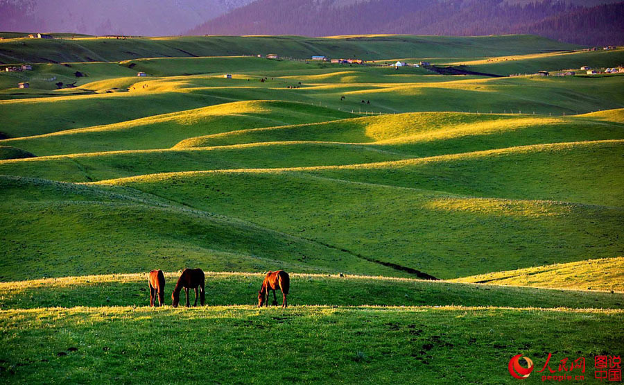 Morning view of Qiongkushitai Grassland