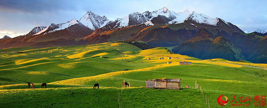 Morning view of Qiongkushitai Grassland