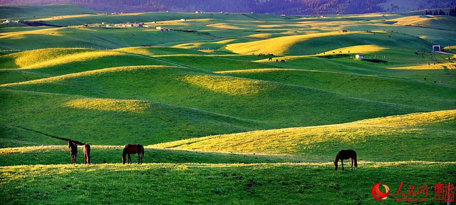 Morning view of Qiongkushitai Grassland